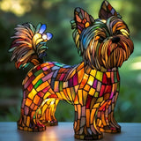 Radiant Yorkshire Terrier